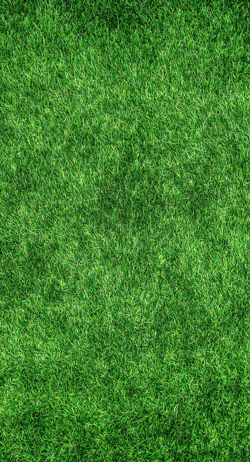 Eco-Friendly Textile Decor
