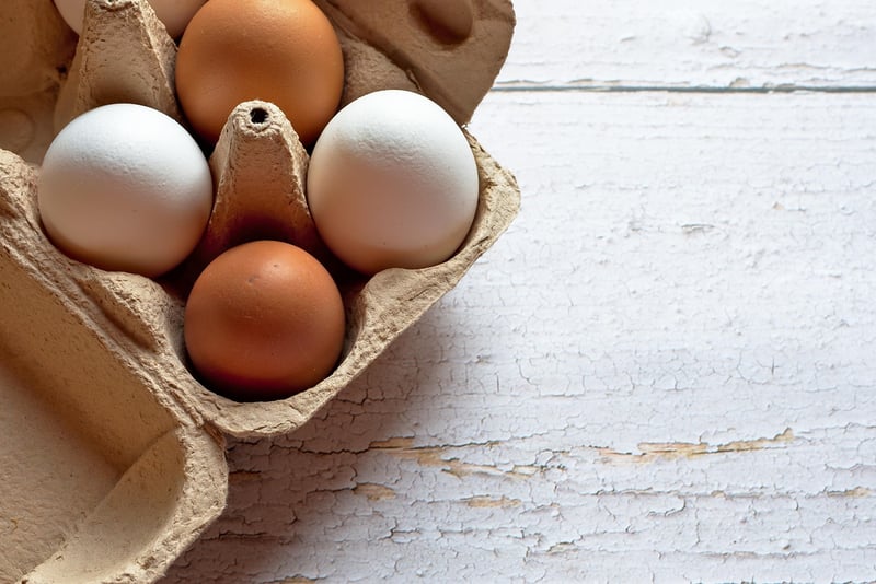 Egg Carton Art